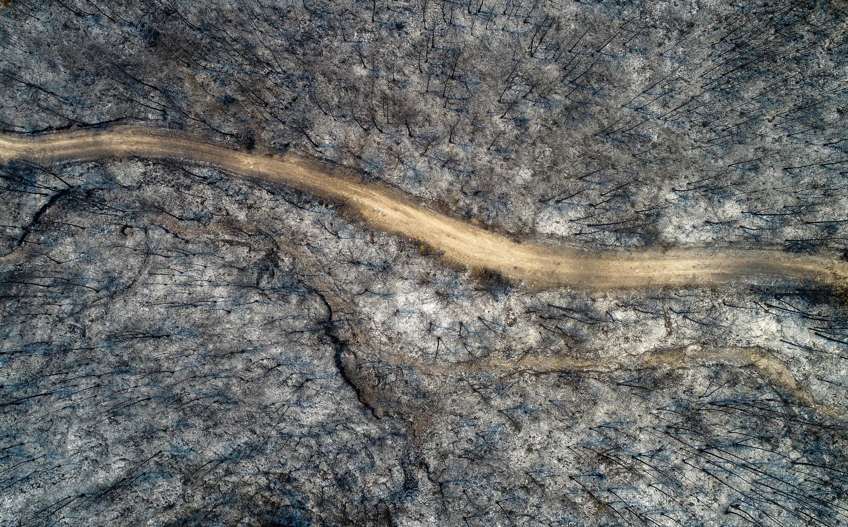 Yangınların acı tablosu ortaya çıktı - Resim: 5