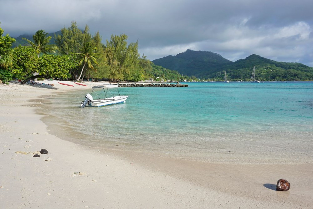Ada ülkeleri için felaket uyarısı. Yüzyılın sonuna kadar yok olabilirler - Resim: 1