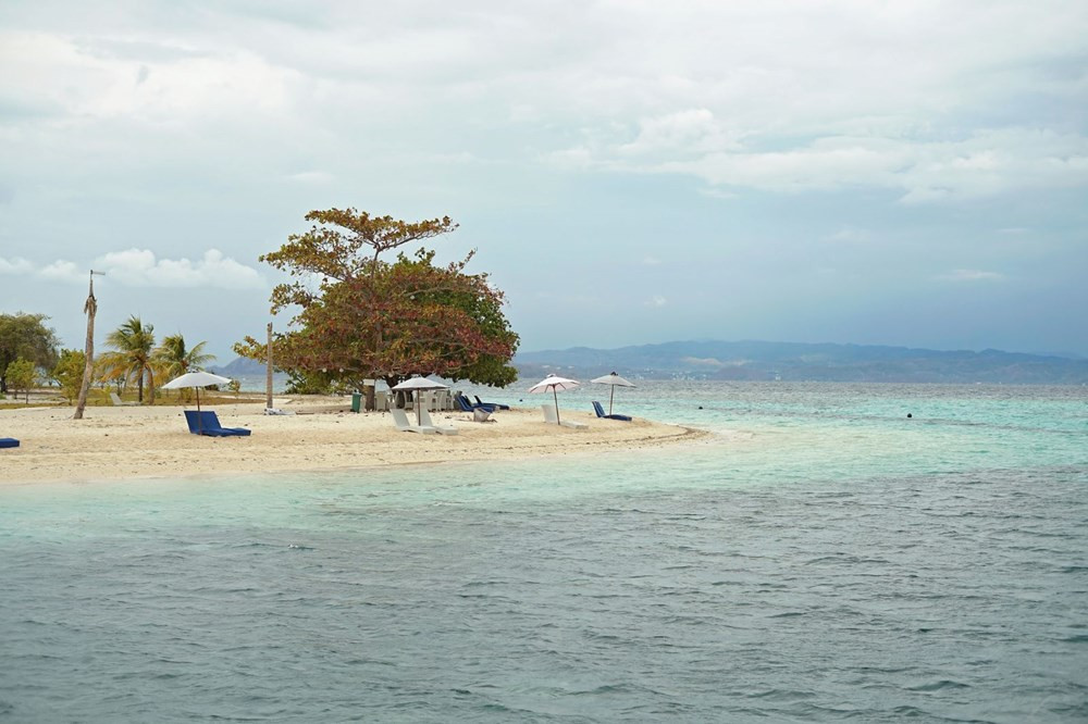 Ada ülkeleri için felaket uyarısı. Yüzyılın sonuna kadar yok olabilirler - Resim: 2