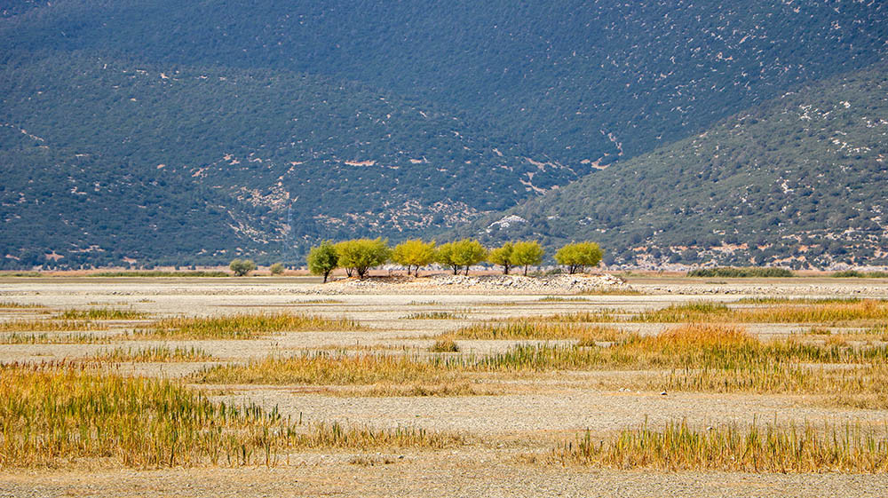 Tamamen kurudu! Artık hayvanlar otluyor - Resim: 9