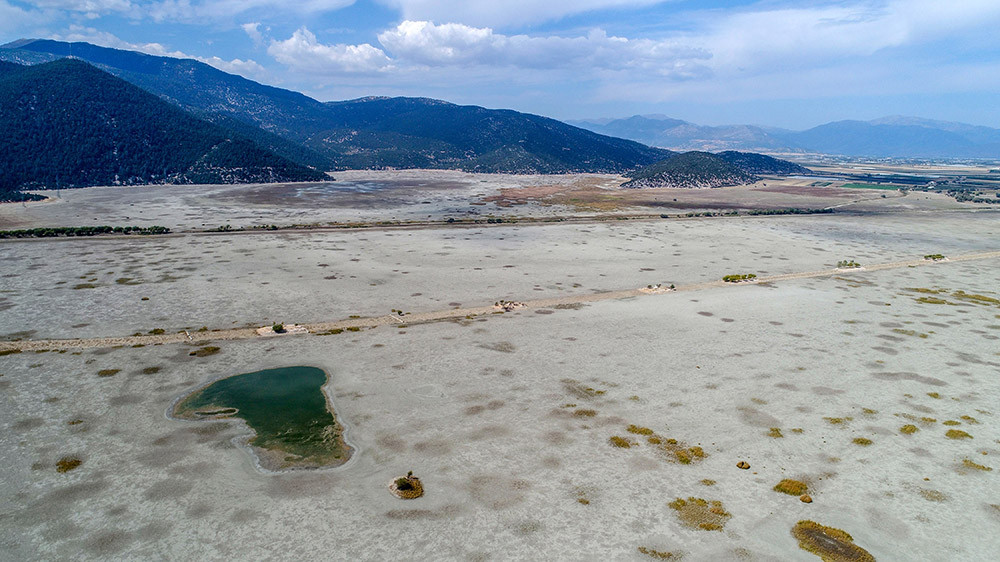 Tamamen kurudu! Artık hayvanlar otluyor - Resim: 13