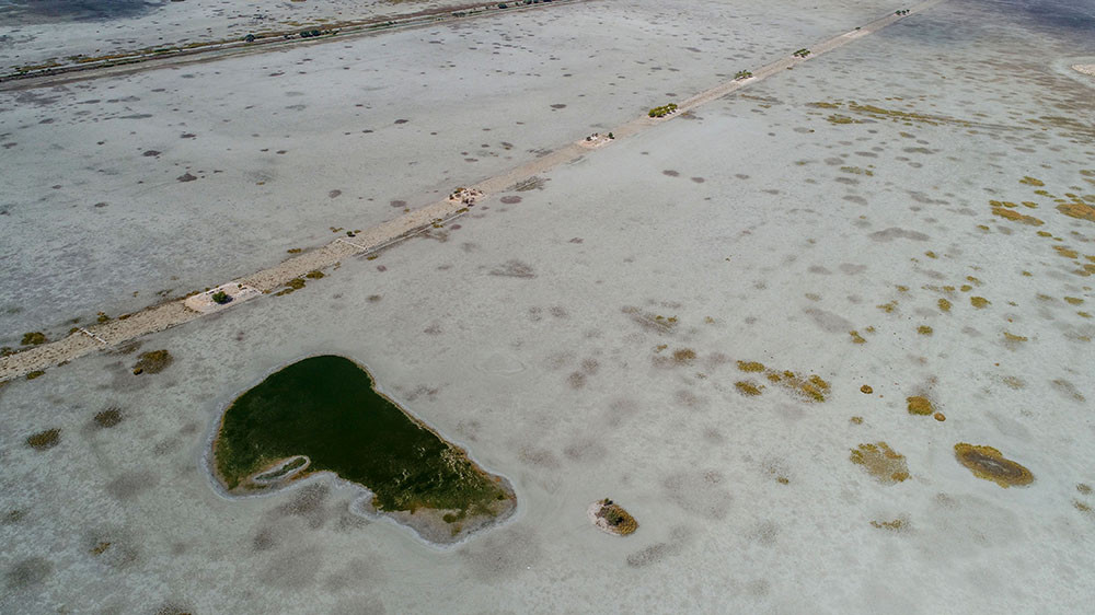 Tamamen kurudu! Artık hayvanlar otluyor - Resim: 6