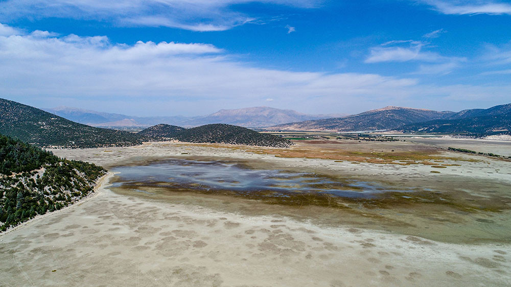 Tamamen kurudu! Artık hayvanlar otluyor - Resim: 5