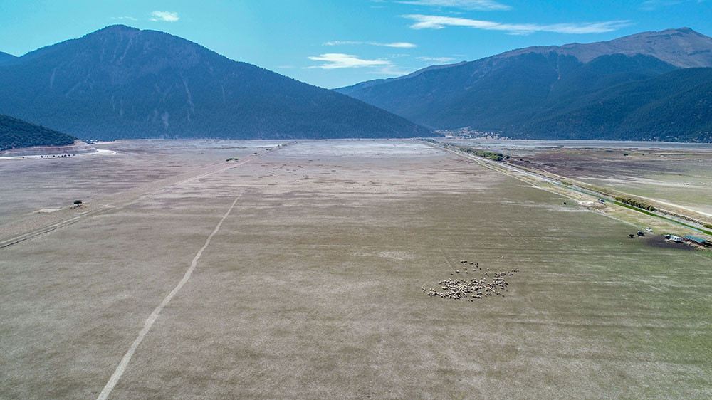 Tamamen kurudu! Artık hayvanlar otluyor - Resim: 4