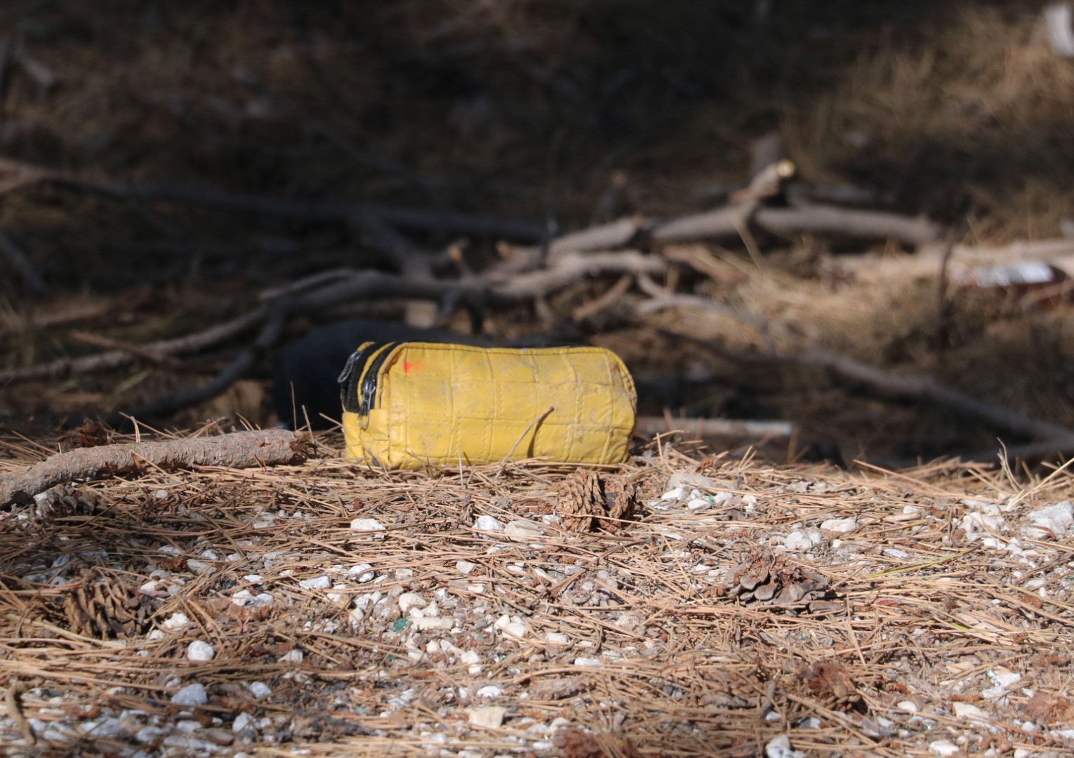 Feci kazayı yaralı öğrencinin köye ulaşmasıyla öğrendiler! 5 çocuk öldü - Resim: 4