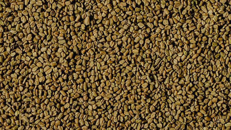 Saç uzamasını hızlandıran ve saçları gürleştiren mucizevi yöntemler - Resim: 4