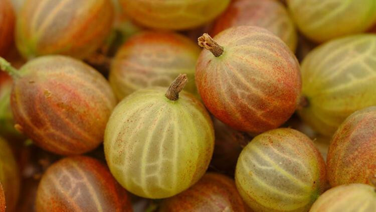 Saç uzamasını hızlandıran ve saçları gürleştiren mucizevi yöntemler - Resim: 2