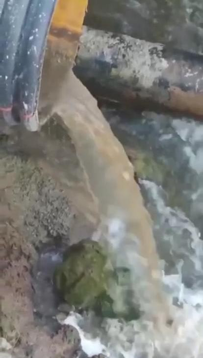 İzmit Körfezi’nde manzara yine aynı. Ey insanoğlu ders almaz mısın - Resim: 4