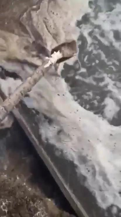 İzmit Körfezi’nde manzara yine aynı. Ey insanoğlu ders almaz mısın - Resim: 5