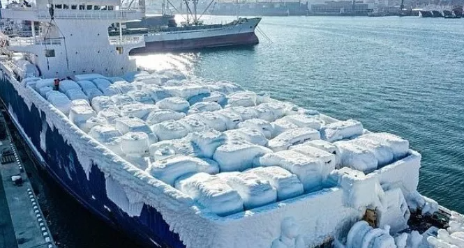 Onlarca otomobil buz tuttu. Vinçlerle tek tek indirildiler - Resim: 4