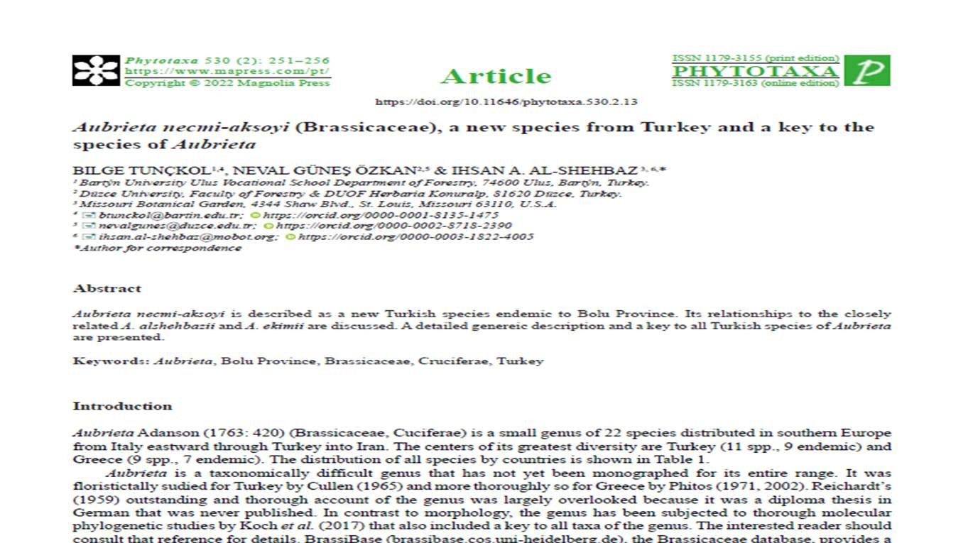 Yedigöller Milli Parkı'nda yeni bitki türü keşfedildi - Resim: 12