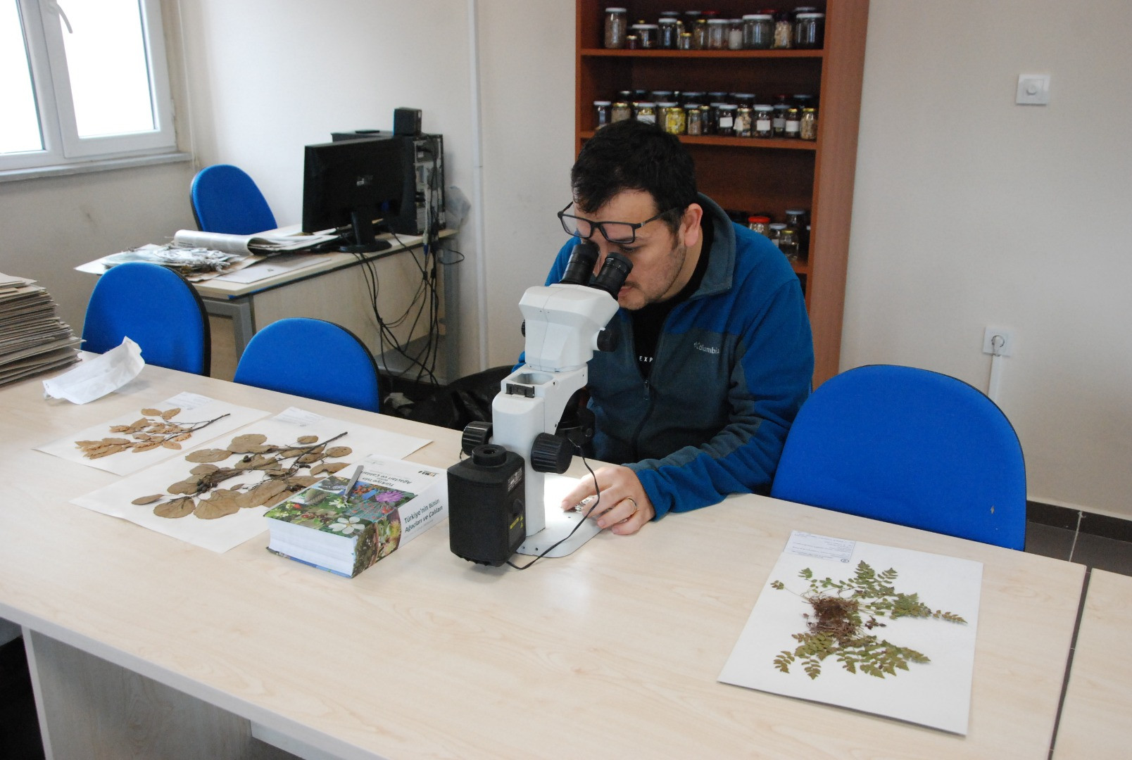 Yedigöller Milli Parkı'nda yeni bitki türü keşfedildi - Resim: 3