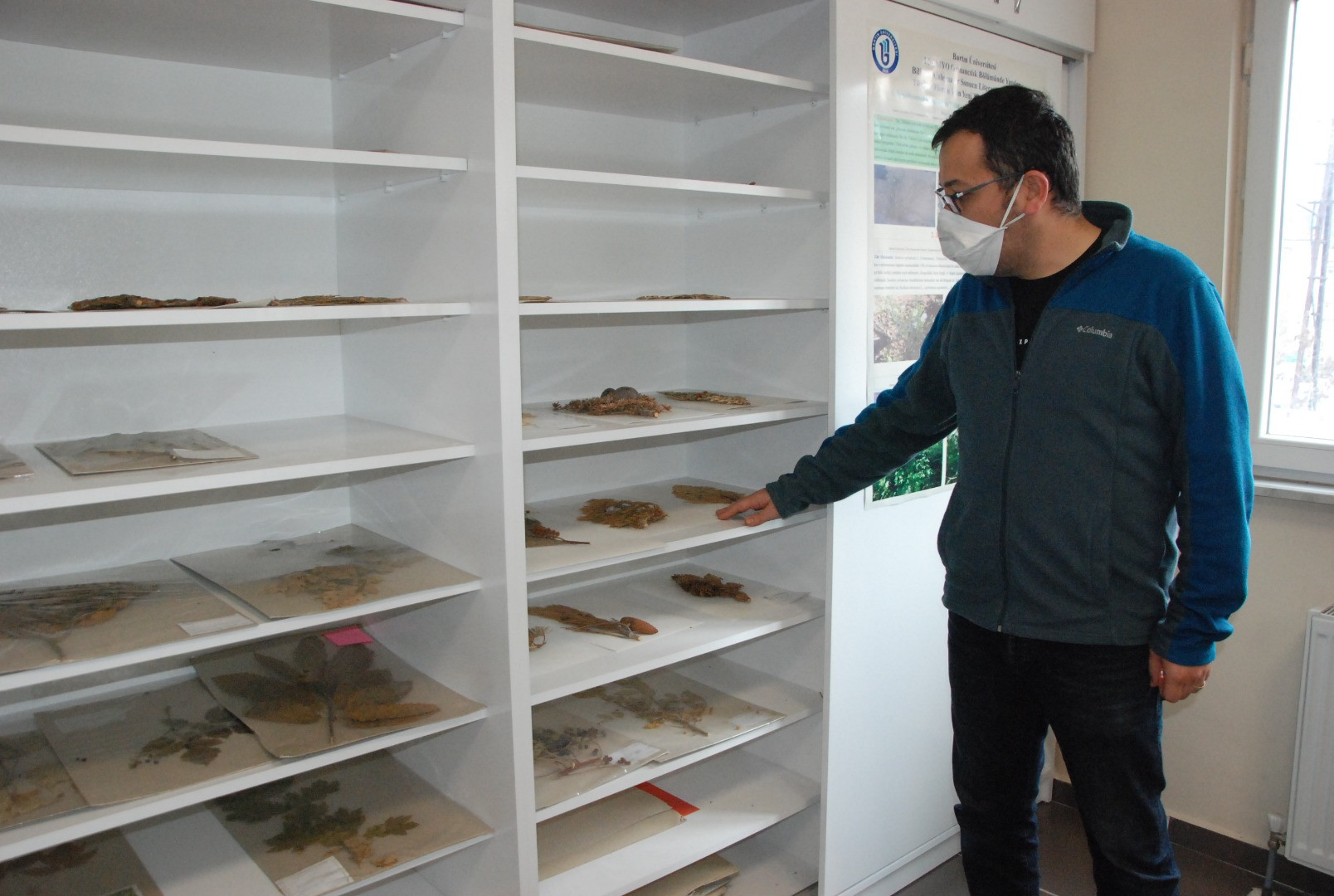 Yedigöller Milli Parkı'nda yeni bitki türü keşfedildi - Resim: 1