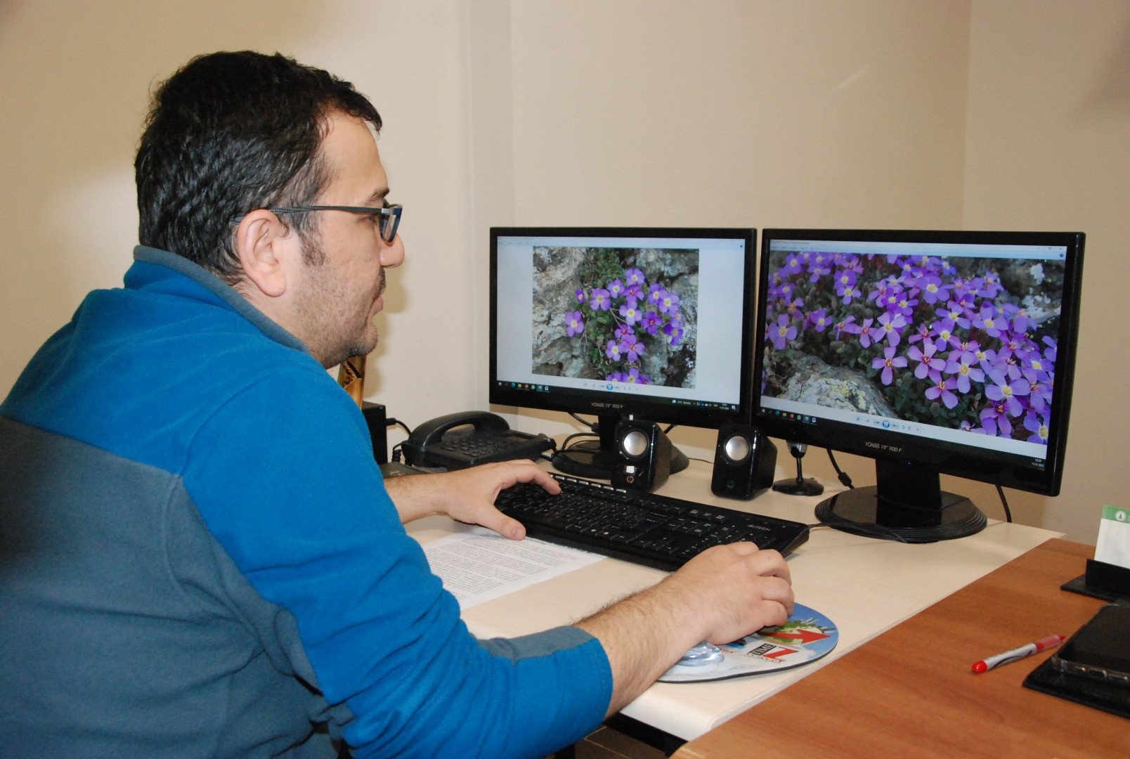 Yedigöller Milli Parkı'nda yeni bitki türü keşfedildi - Resim: 6