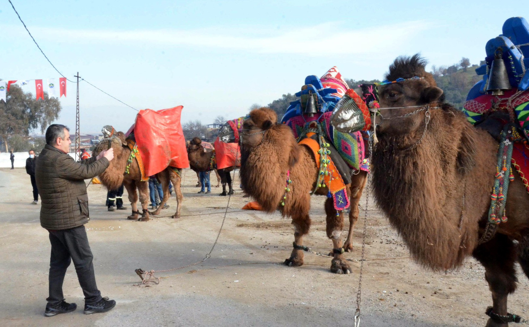 Deve güreşi festivalinde renkli görüntüler - Resim: 4