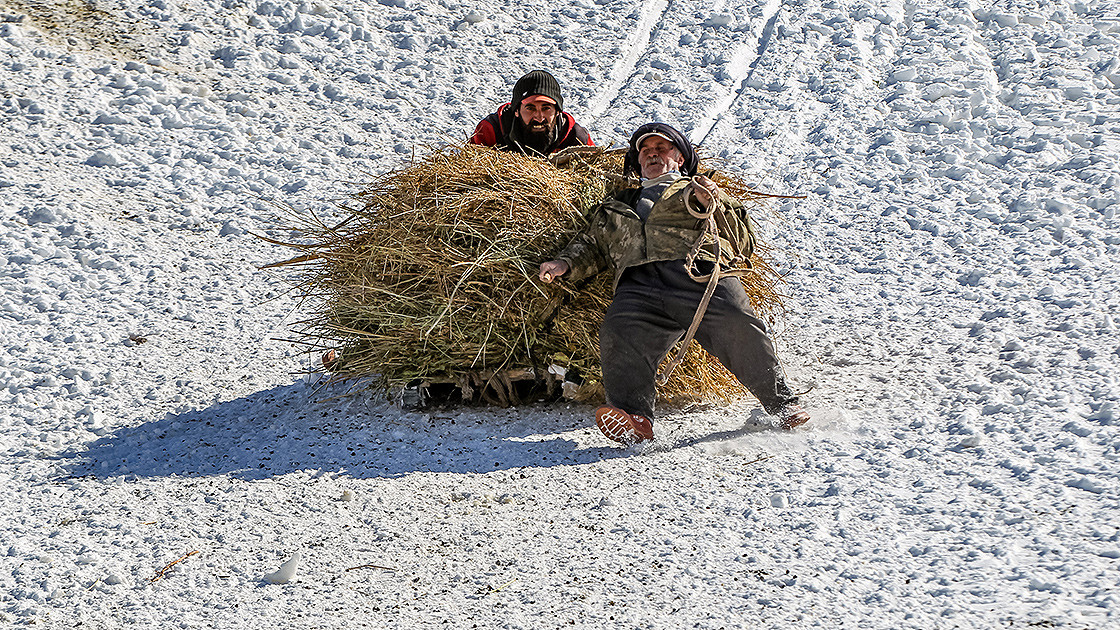 Hayvanları için biriktirdikleri otları karlı zirvelerden bakın nasıl indiriyorlar - Resim: 2