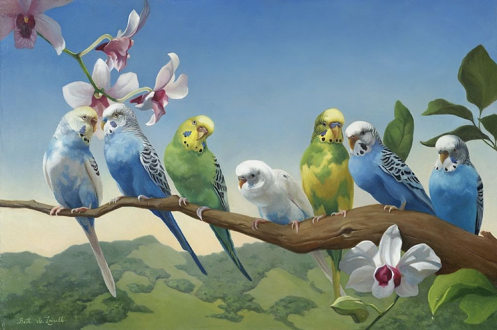 Dünyanın en hızlı hayvanları belirlendi. Bazılarına inanamayacaksınız! - Resim: 2