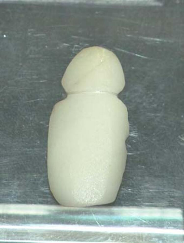 5 bin yıllık eserler ilk kez sergilenecek! - Resim: 4