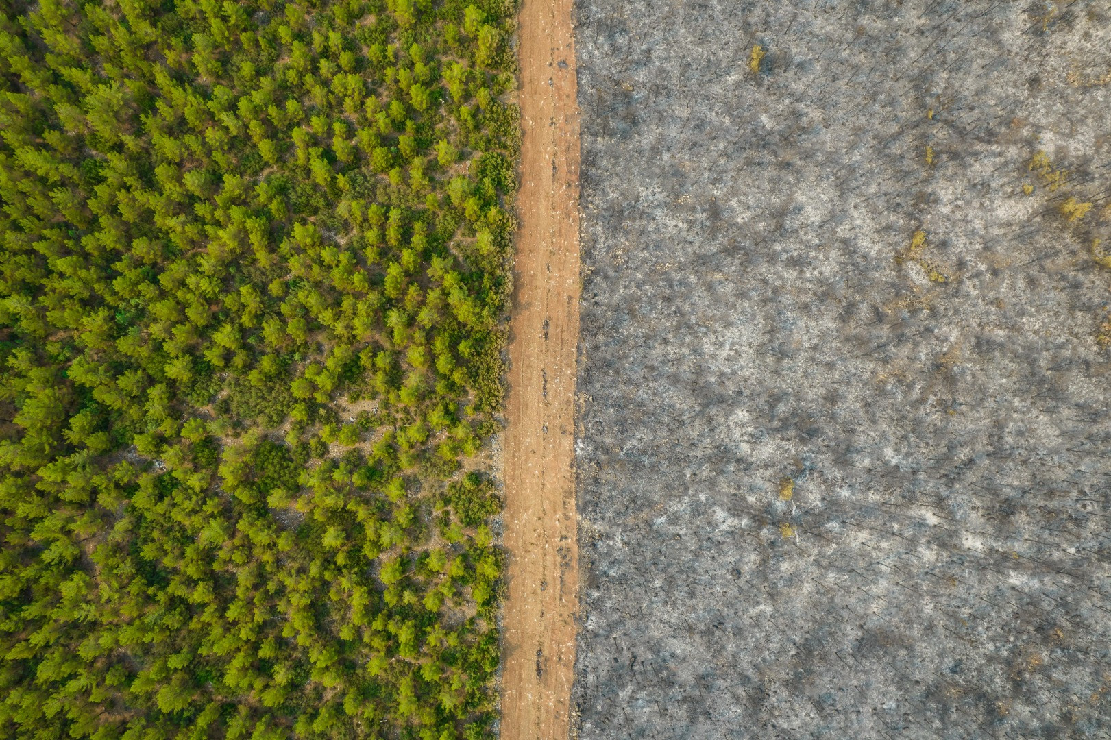 İşte “Yılın Basın Fotoğrafları” - Resim: 11