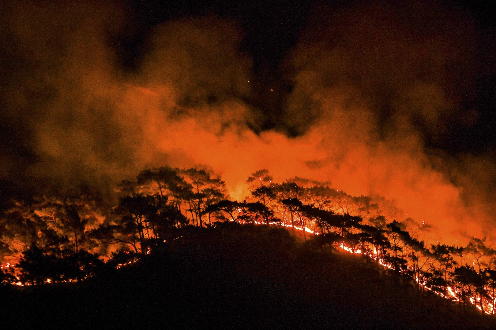 İşte “Yılın Basın Fotoğrafları” - Resim: 35