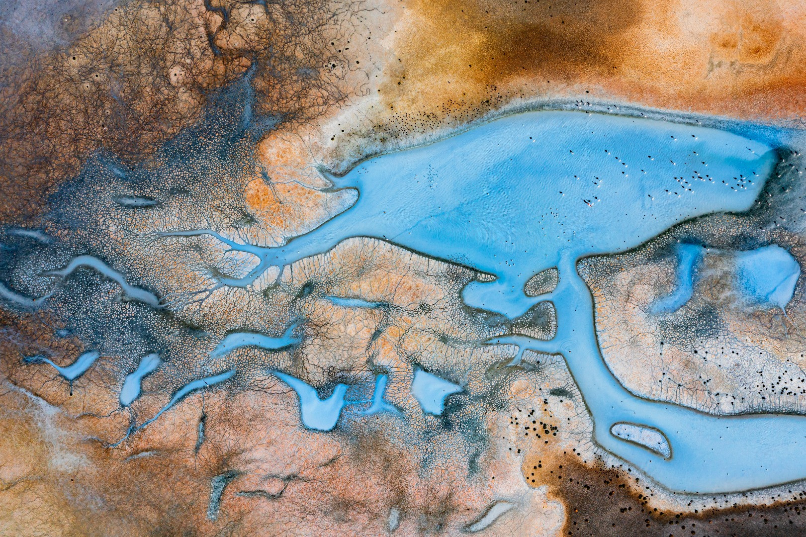 İşte “Yılın Basın Fotoğrafları” - Resim: 26