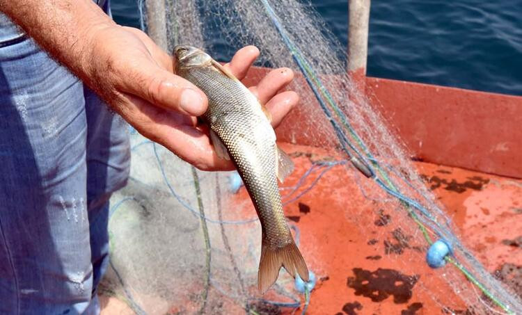 İnci kefalinden sonunda güzel haber geldi! - Resim: 10