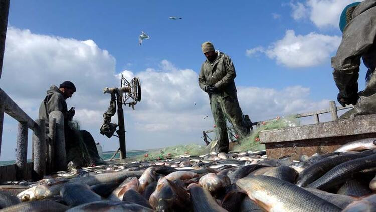 İnci kefalinden sonunda güzel haber geldi! - Resim: 8
