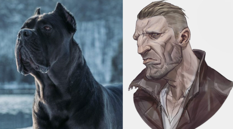 En bilinen hayvanlar insan olsaydı nasıl görünürdü? İşte anime sanatçısının çizimleri - Resim: 5