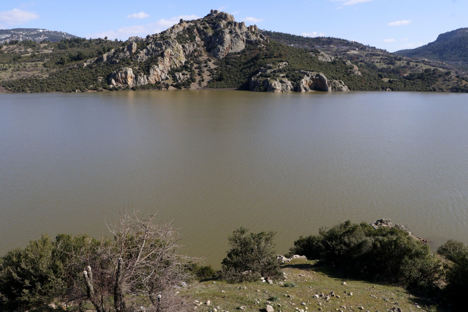 Su kaynaklarındaki istilacı zebra midyeleri, tatlı su yengecini yok edecek - Resim: 12