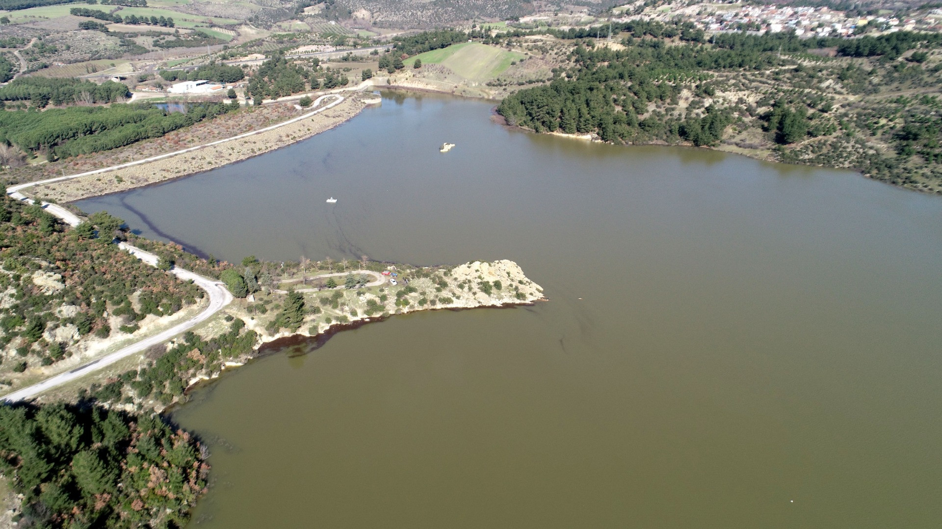 Su kaynaklarındaki istilacı zebra midyeleri, tatlı su yengecini yok edecek - Resim: 14