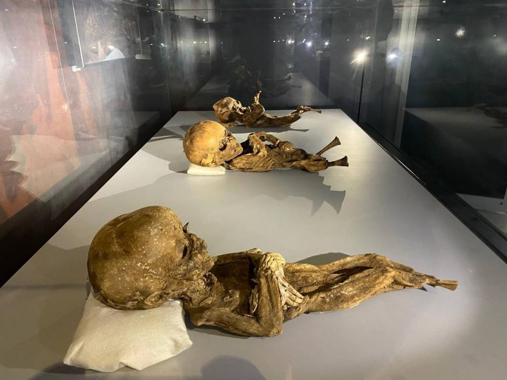 Mısır'da değil Türkiye'de Görenler şaşkına döndü - Resim: 13