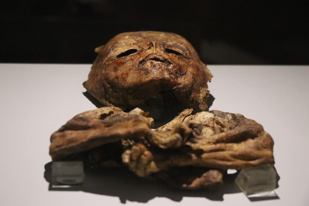 Mısır'da değil Türkiye'de Görenler şaşkına döndü - Resim: 7