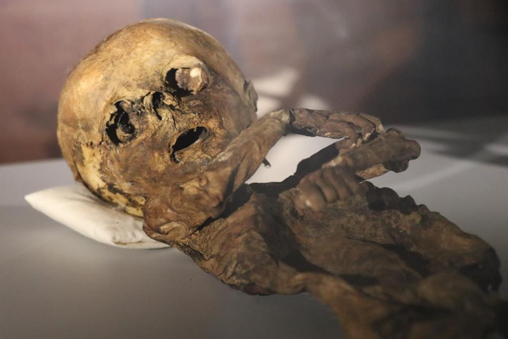 Mısır'da değil Türkiye'de Görenler şaşkına döndü - Resim: 3