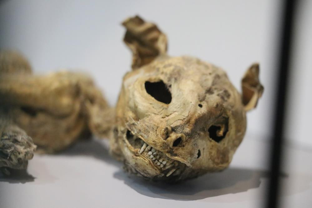 Mısır'da değil Türkiye'de Görenler şaşkına döndü - Resim: 11