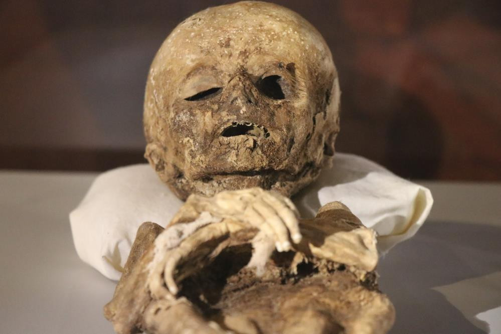 Mısır'da değil Türkiye'de Görenler şaşkına döndü - Resim: 2