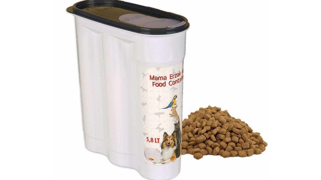 Kedi bakımında yapılan 25 hata - Resim: 12