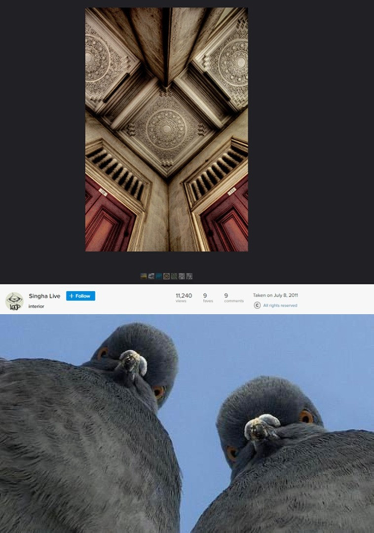 Etkileşim almak için bazı sosyal medya hesapları bu sahte fotoğrafları yayınlıyor - Resim: 17