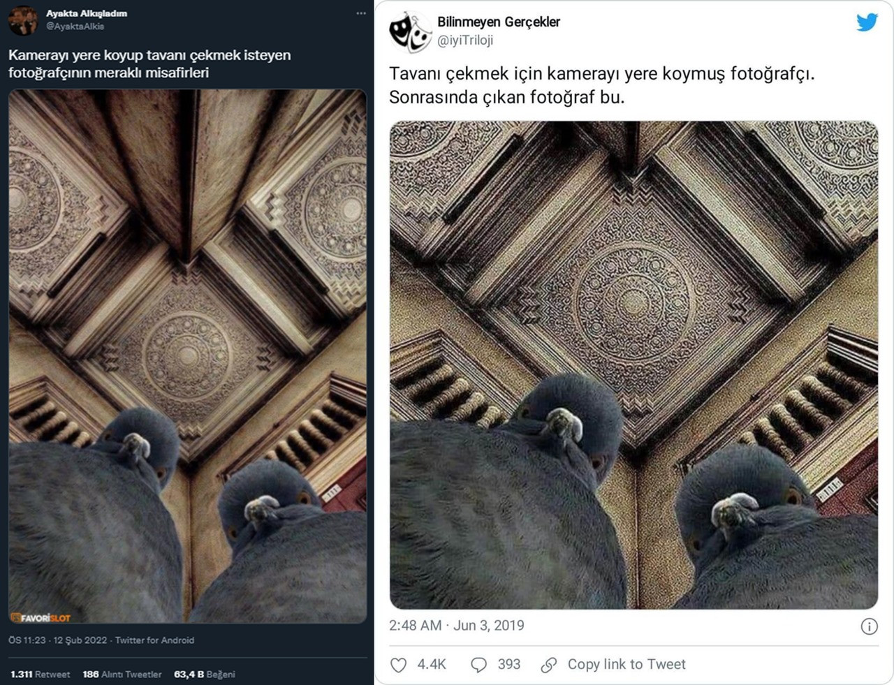 Etkileşim almak için bazı sosyal medya hesapları bu sahte fotoğrafları yayınlıyor - Resim: 16