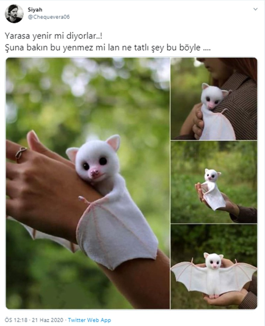 Etkileşim almak için bazı sosyal medya hesapları bu sahte fotoğrafları yayınlıyor - Resim: 12