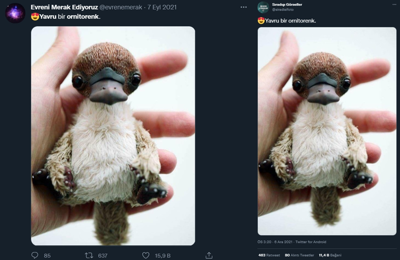 Etkileşim almak için bazı sosyal medya hesapları bu sahte fotoğrafları yayınlıyor - Resim: 8