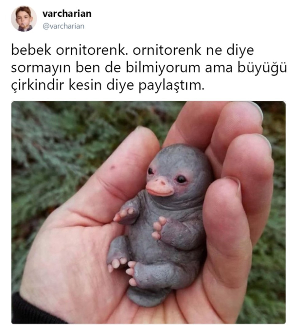 Etkileşim almak için bazı sosyal medya hesapları bu sahte fotoğrafları yayınlıyor - Resim: 6