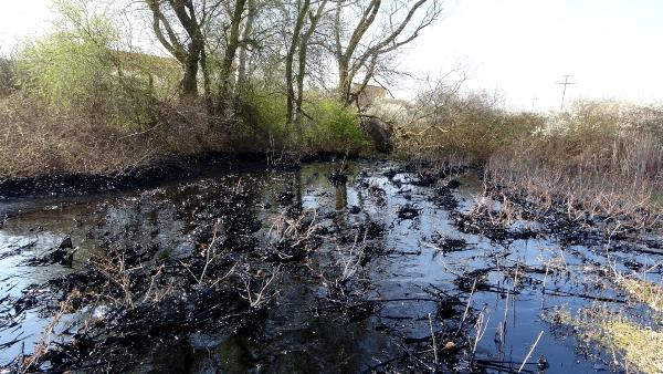 Edirne'de alarm! Fuel oil kazanı patladı; tonlarca yakıt çevreye yayıldı - Resim: 10