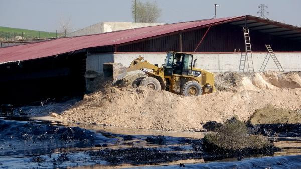 Edirne'de alarm! Fuel oil kazanı patladı; tonlarca yakıt çevreye yayıldı - Resim: 6