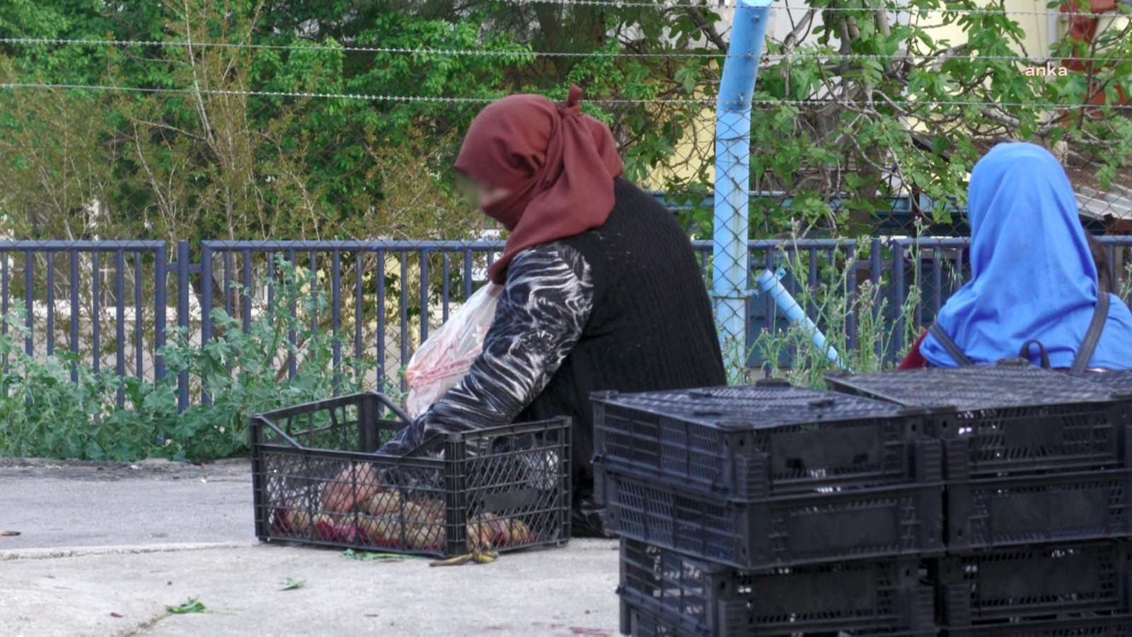 Uçan ekonomimizin göstergesi: Çürük sebze meyveleri belediye değil vatandaş topluyor - Resim: 7