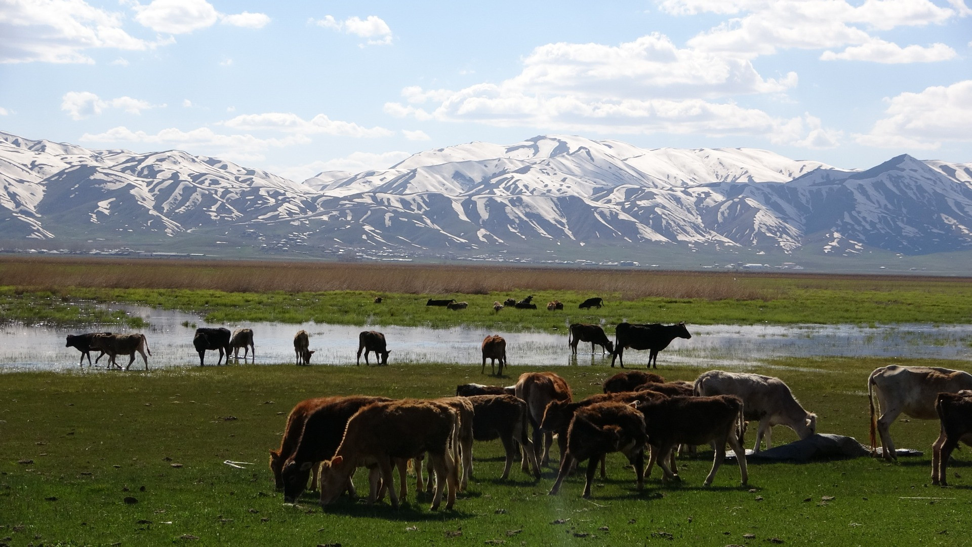 Hakkari'de Afrika'yı aratmayan görüntüler - Resim: 15