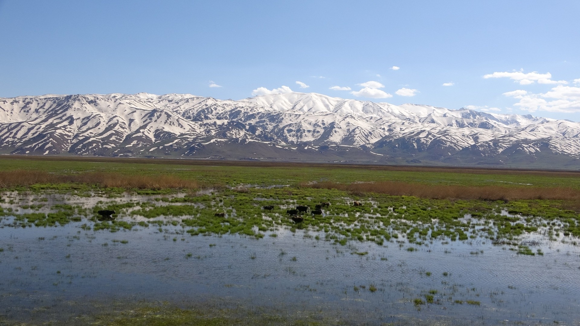 Hakkari'de Afrika'yı aratmayan görüntüler - Resim: 18