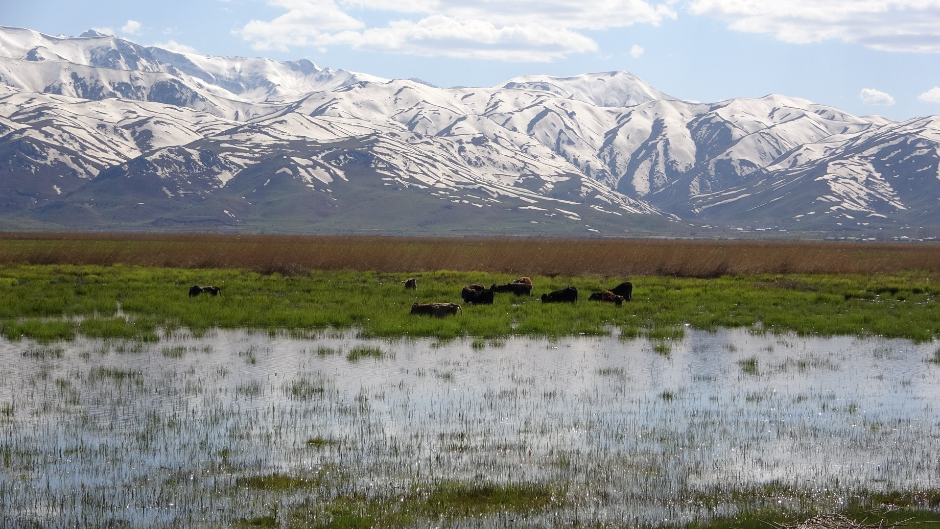 Hakkari'de Afrika'yı aratmayan görüntüler - Resim: 20