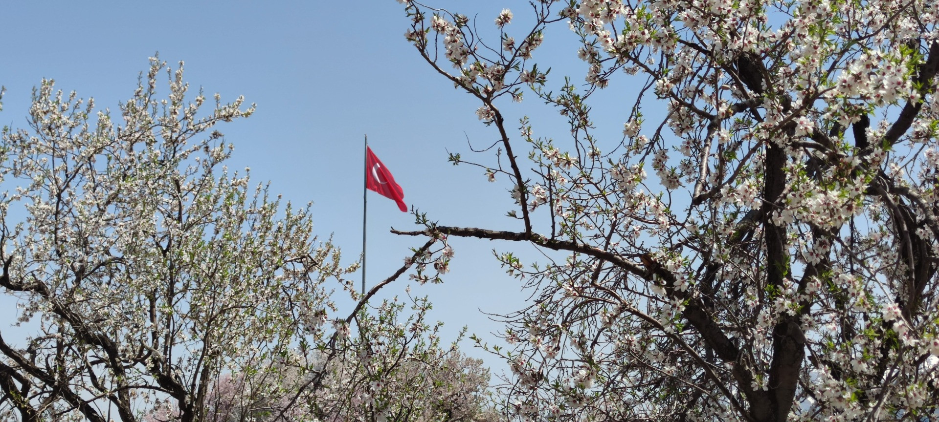 Akdamar Adası'nda ilkbahar güzelliği - Resim: 16