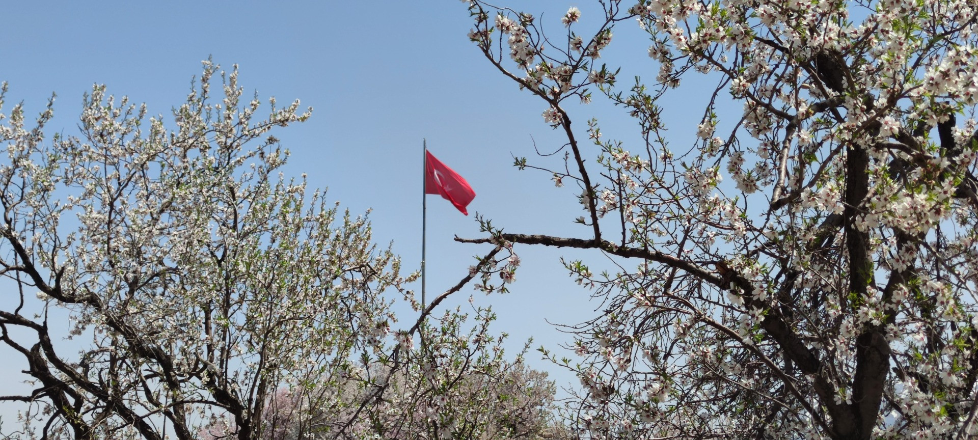Akdamar Adası'nda ilkbahar güzelliği - Resim: 12