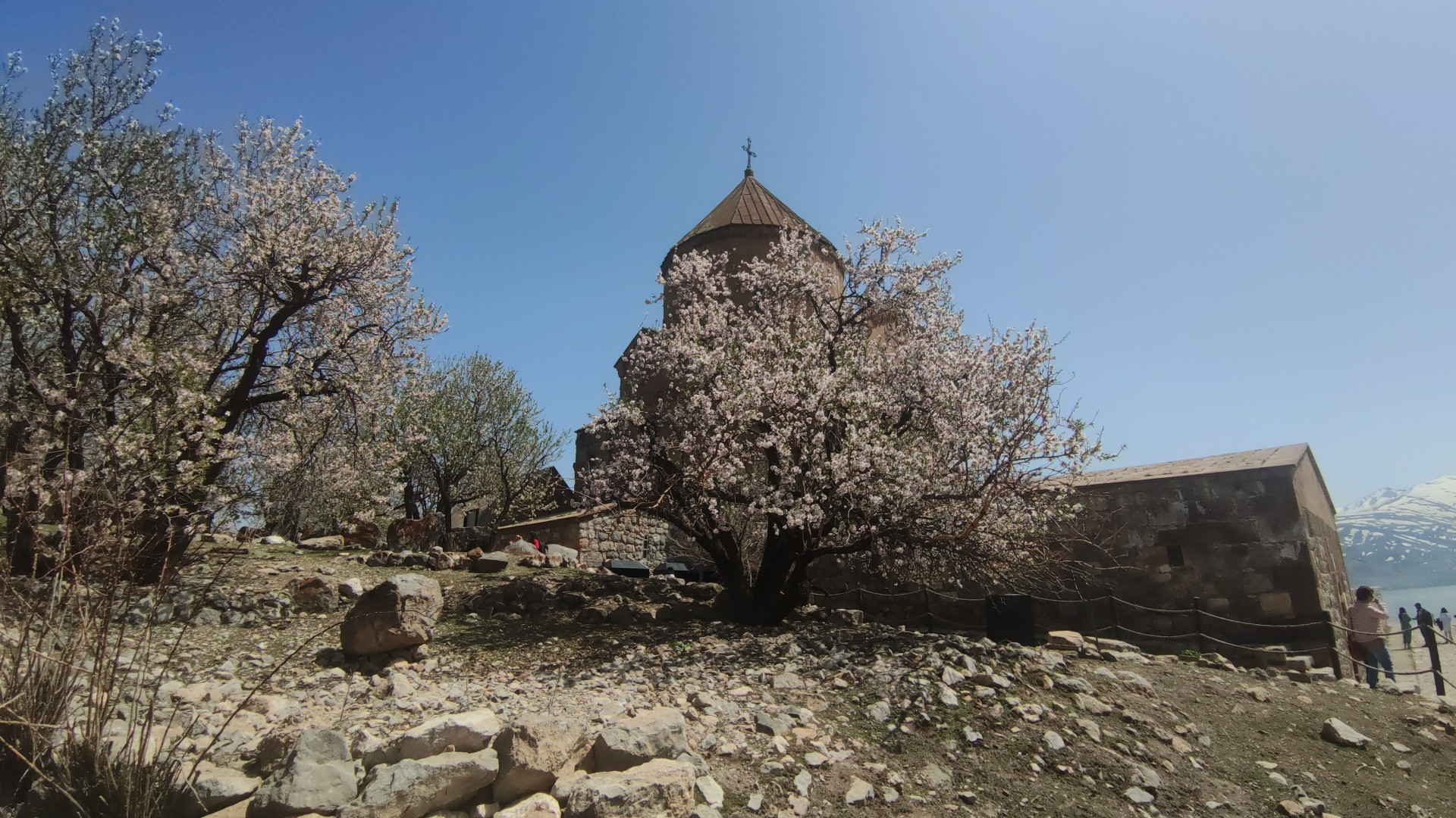 Akdamar Adası'nda ilkbahar güzelliği - Resim: 3